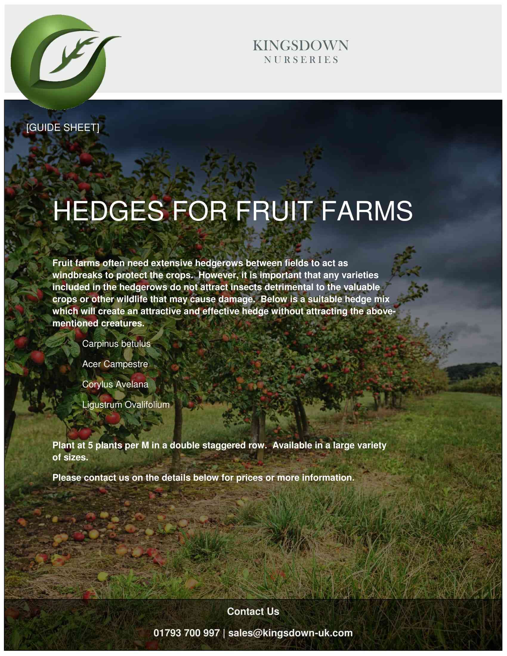 Hedges for Fruit Farms