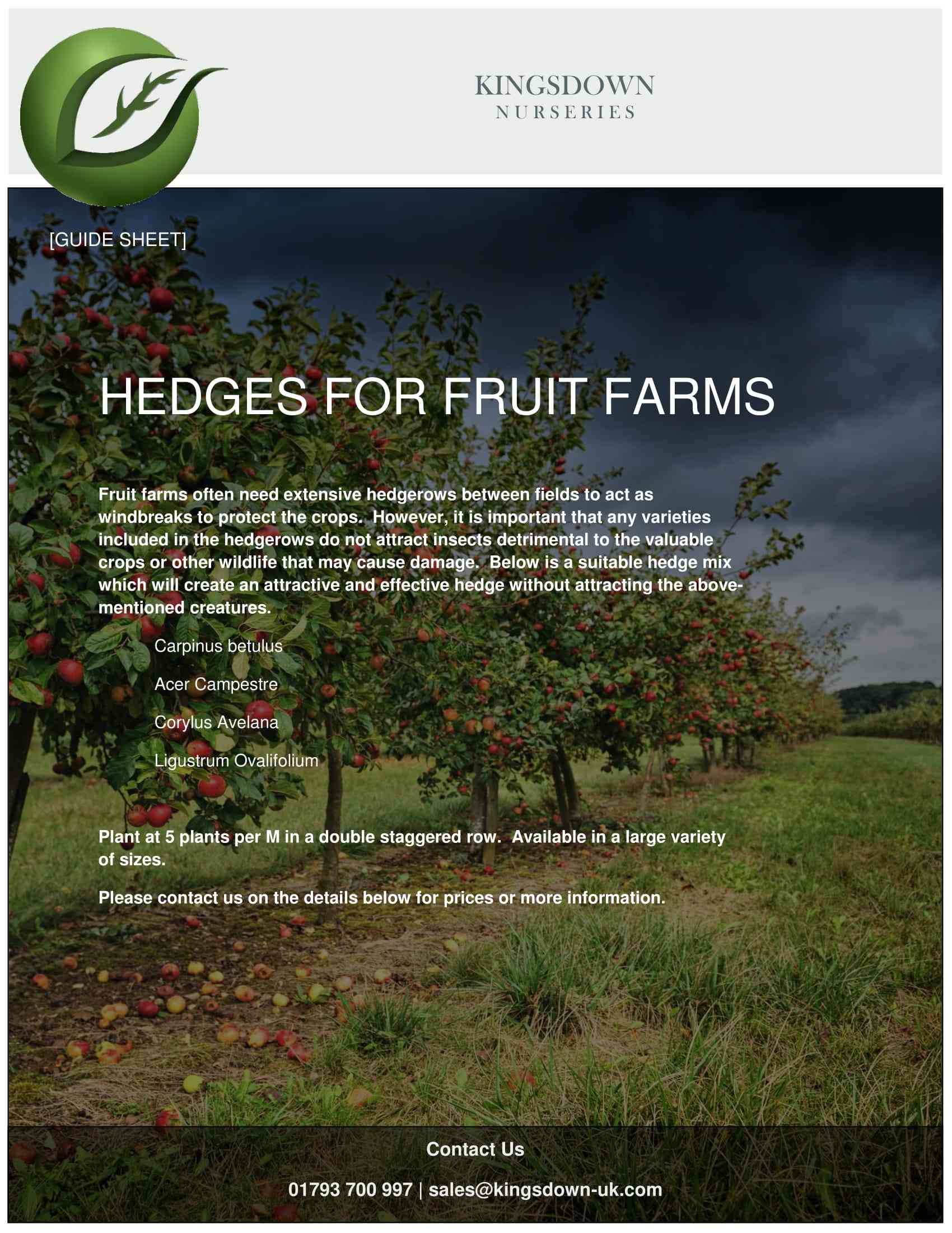 Hedges for Fruit Farms