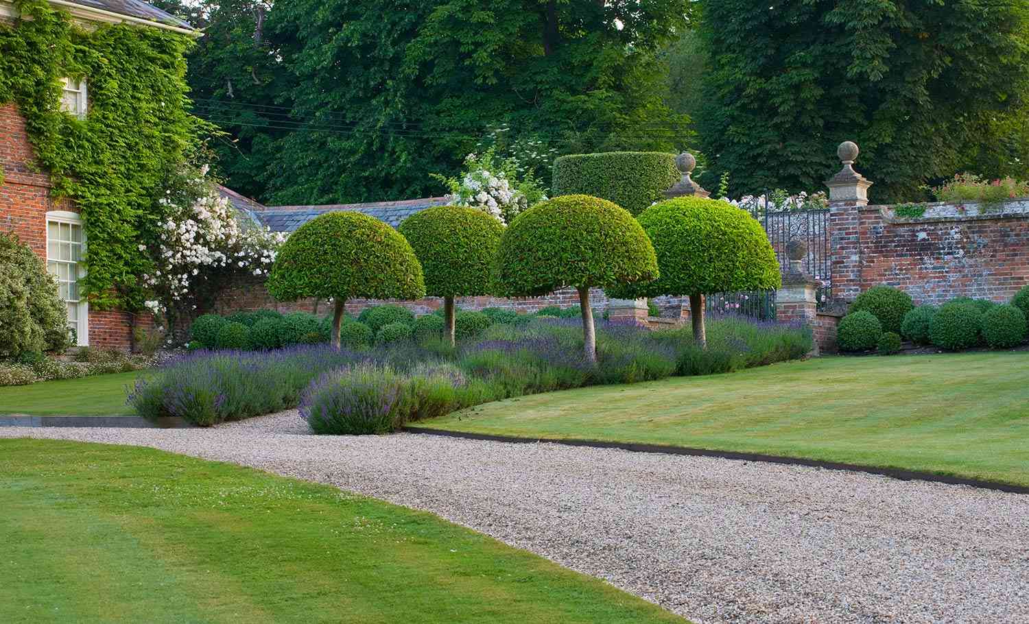 Landscaped Garden