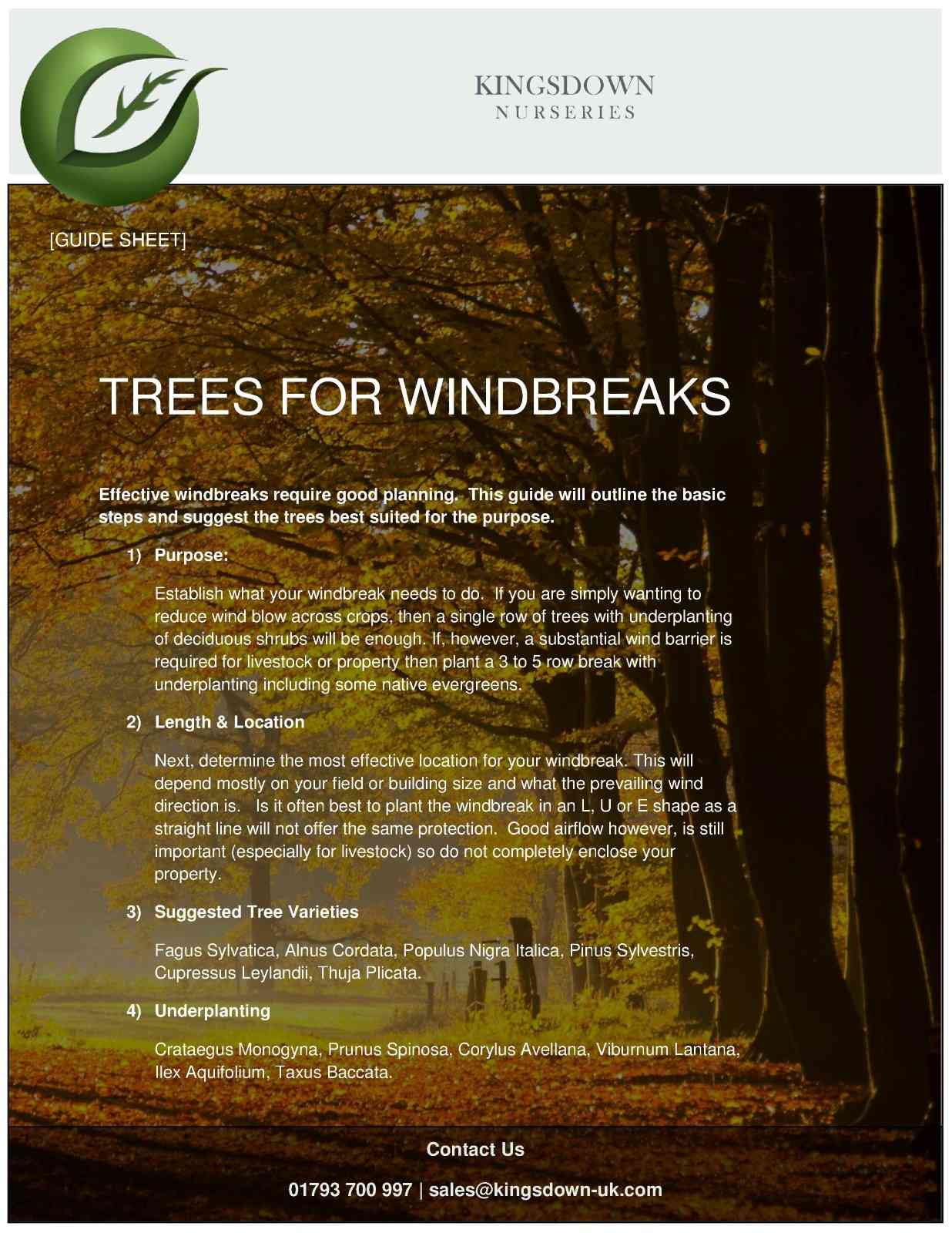 Windbrakes PDF