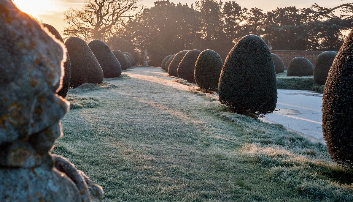 Yew topiary as eggs, rounded cones and beehives